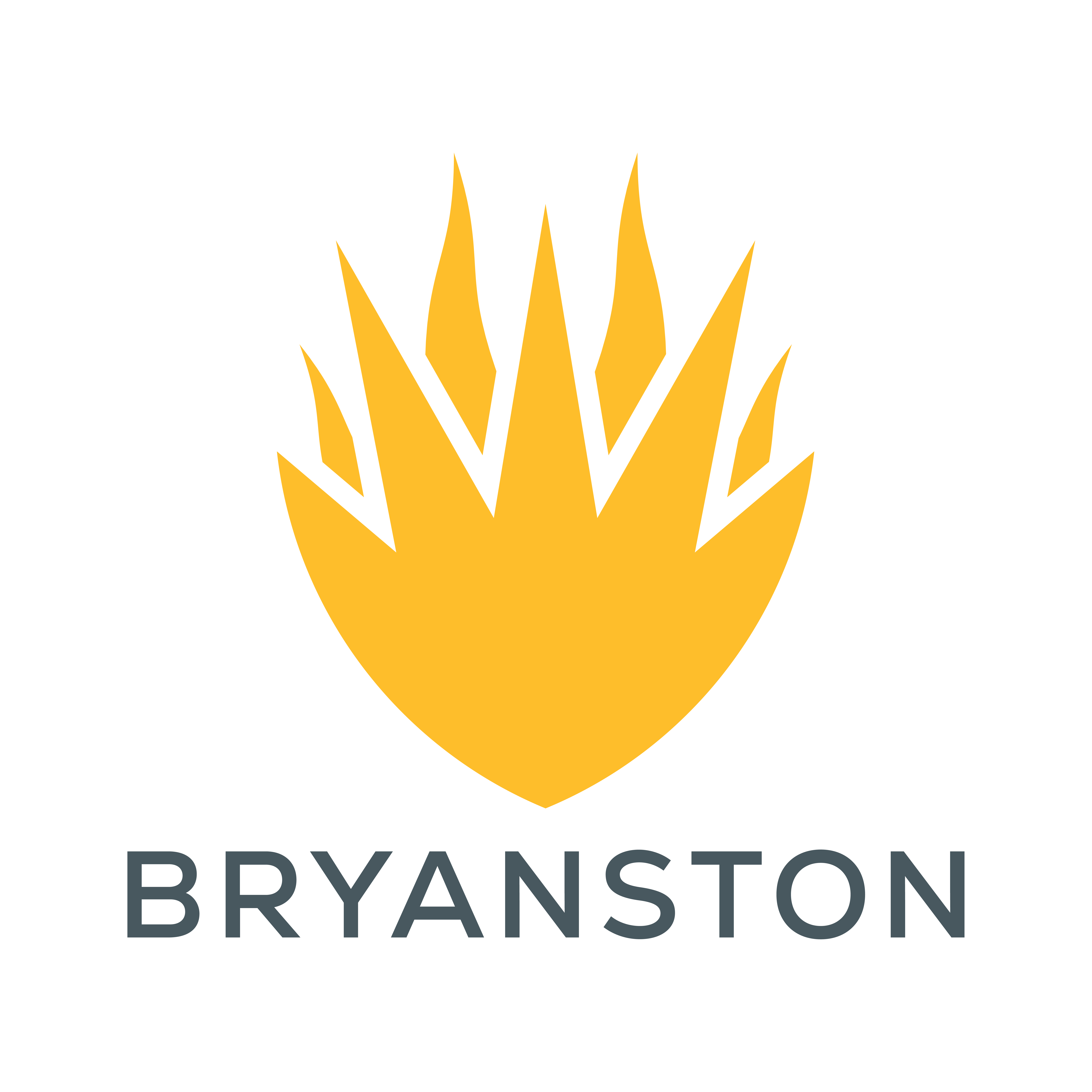 Bryanston School Equestrian Centre logo