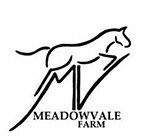 Meadowvale Farm Equestrian Centre logo